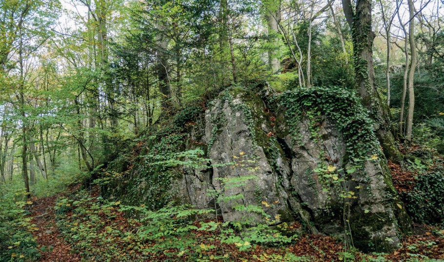 Bancs massifs de calcaire d'âge givétien. (Géopark)